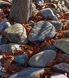 Stones and leaves